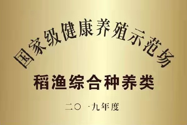 稻渔综合种养.jpg