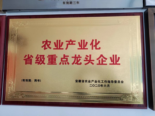 省级龙头企业.jpg