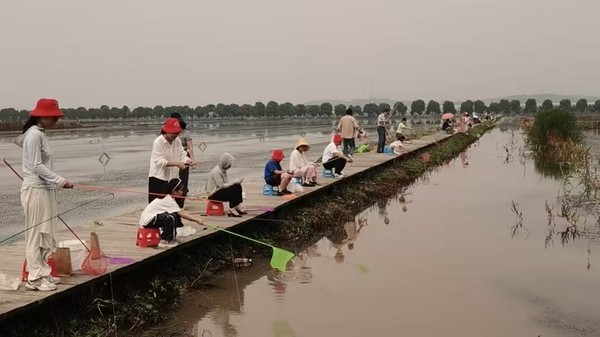 图片efaweg.png