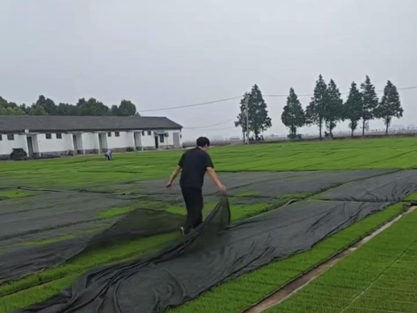 微信图片_20260604093208.jpg