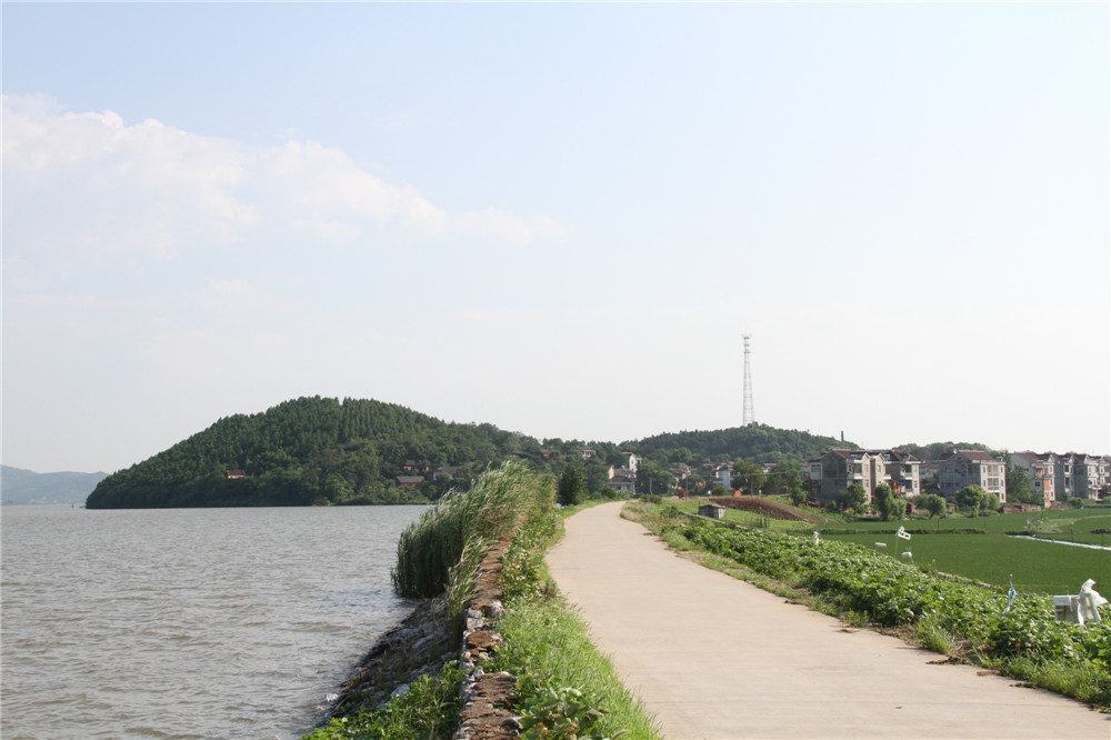 枫沙湖-安徽省普济圩现代农业集团