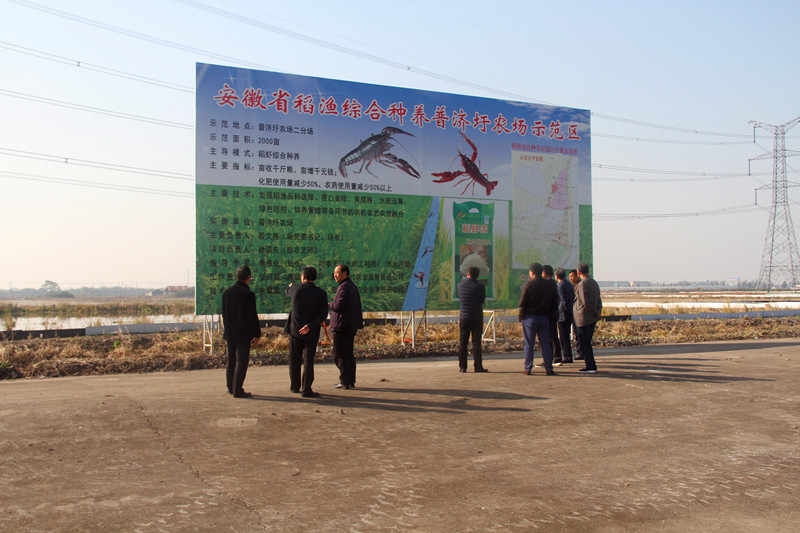 “枫瑶”牌虾稻米成功上市